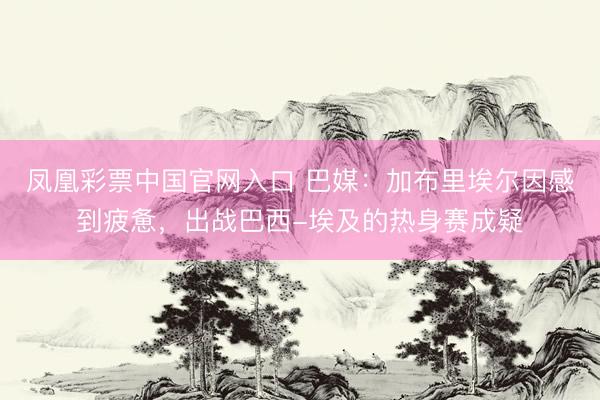 凤凰彩票中国官网入口 巴媒：加布里埃尔因感到疲惫，出战巴西-埃及的热身赛成疑