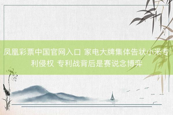 凤凰彩票中国官网入口 家电大牌集体告状小米专利侵权 专利战背后是赛说念博弈