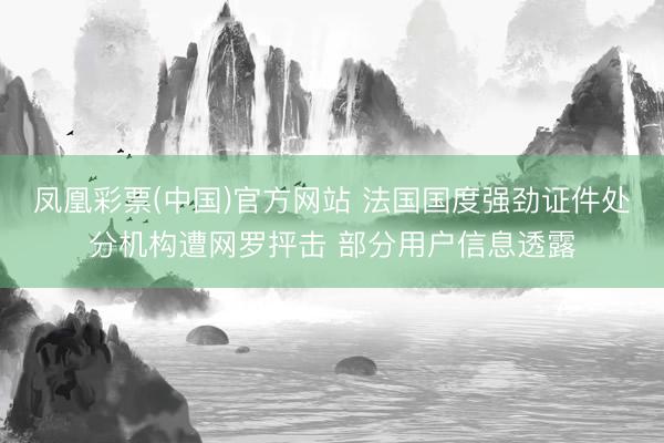 凤凰彩票(中国)官方网站 法国国度强劲证件处分机构遭网罗抨击 部分用户信息透露