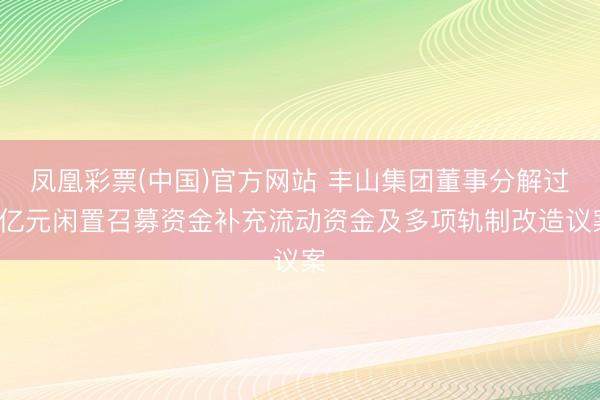 凤凰彩票(中国)官方网站 丰山集团董事分解过2亿元闲置召募资金补充流动资金及多项轨制改造议案